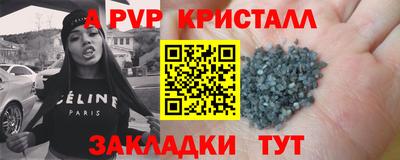 стаф Каменск-Шахтинский