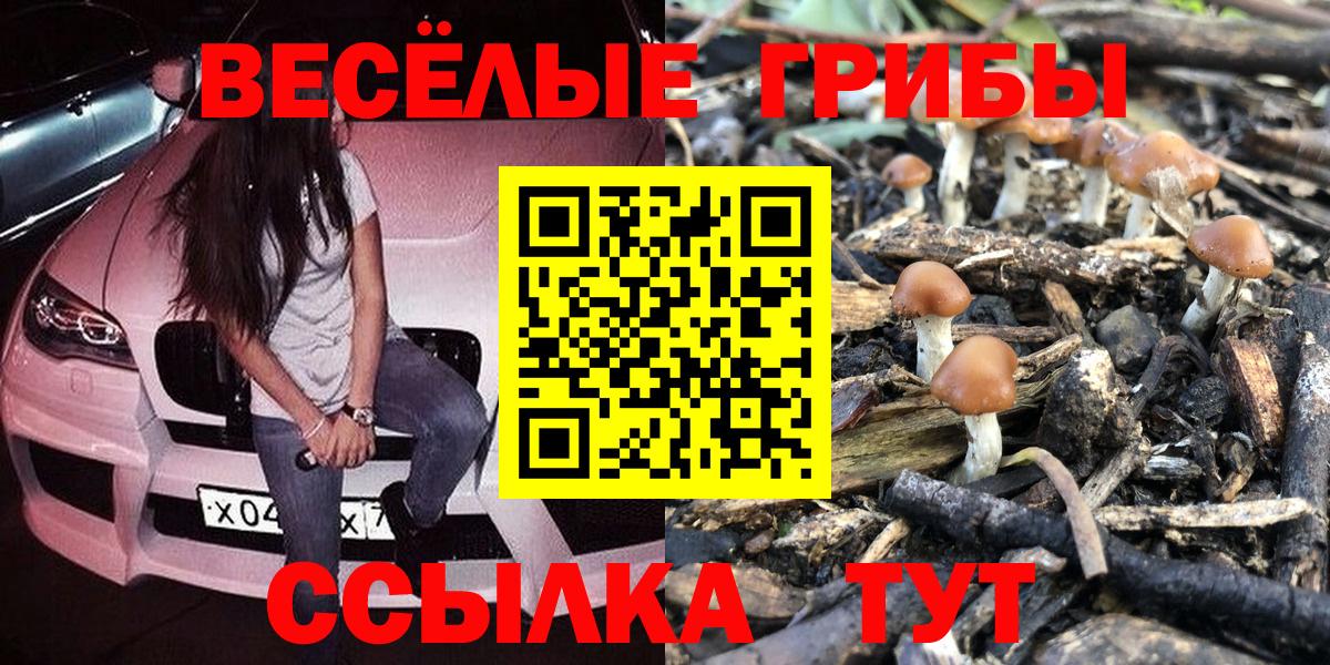 Касимов  Галлюциногенные грибы MAGIC MUSHROOMS  Вход с VPN 